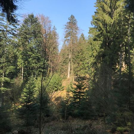 Ferienwohnung Hesselbach Оберкірх Екстер'єр фото
